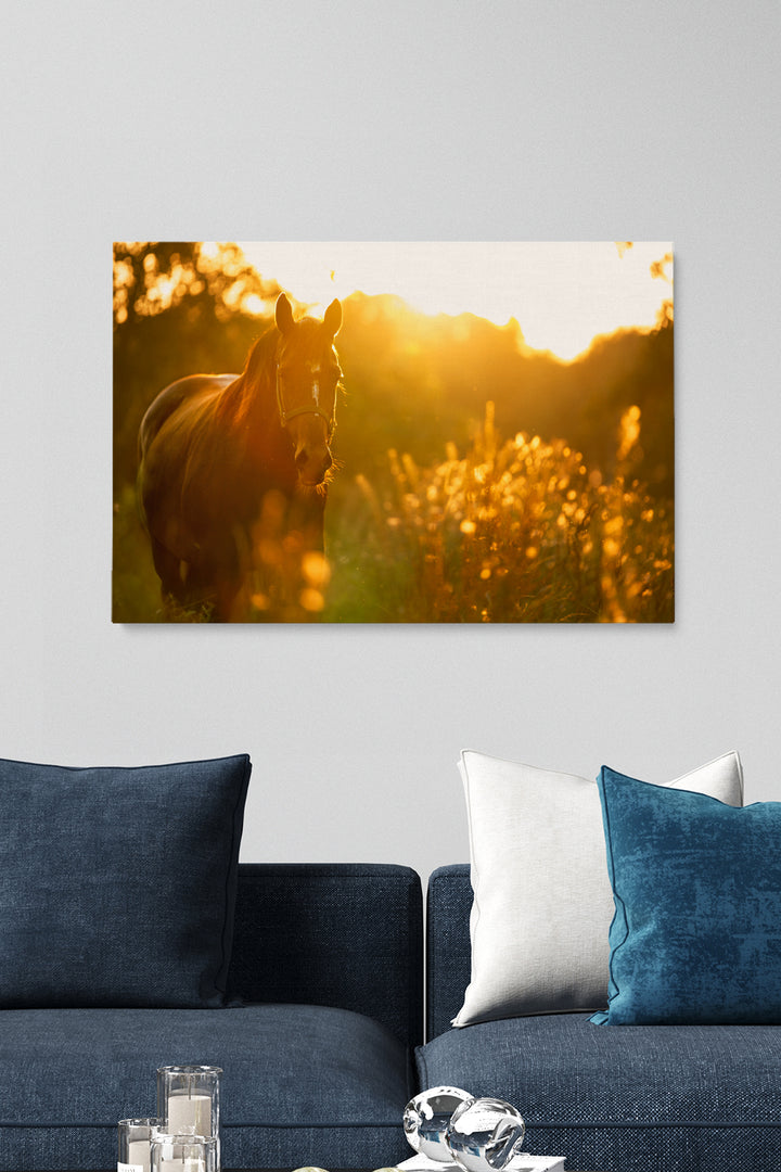 Sunny Horse