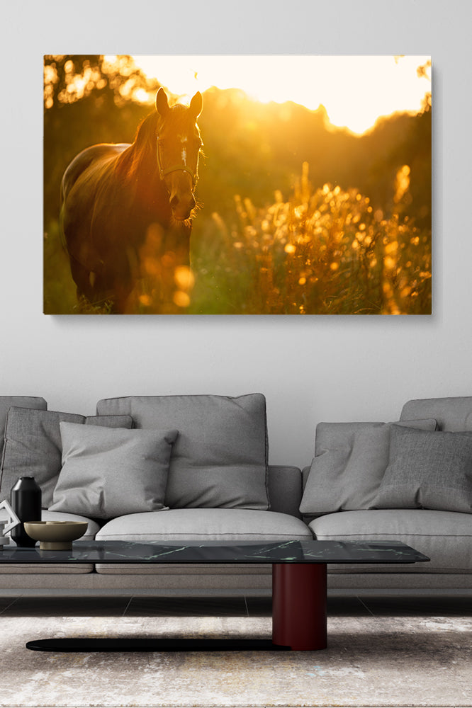 Sunny Horse