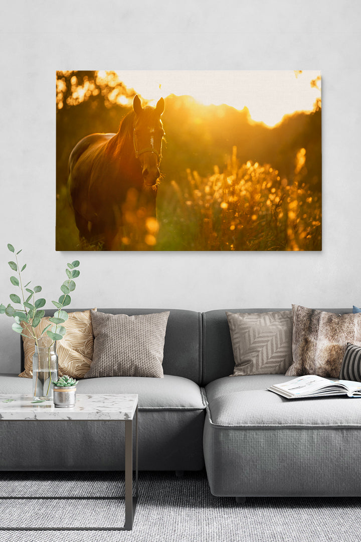 Sunny Horse