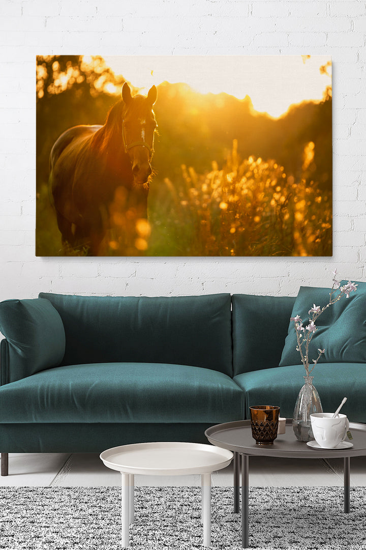 Sunny Horse