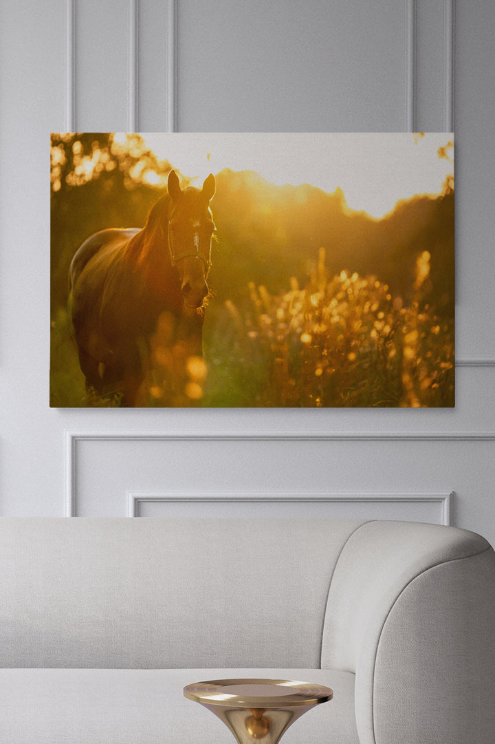 Sunny Horse