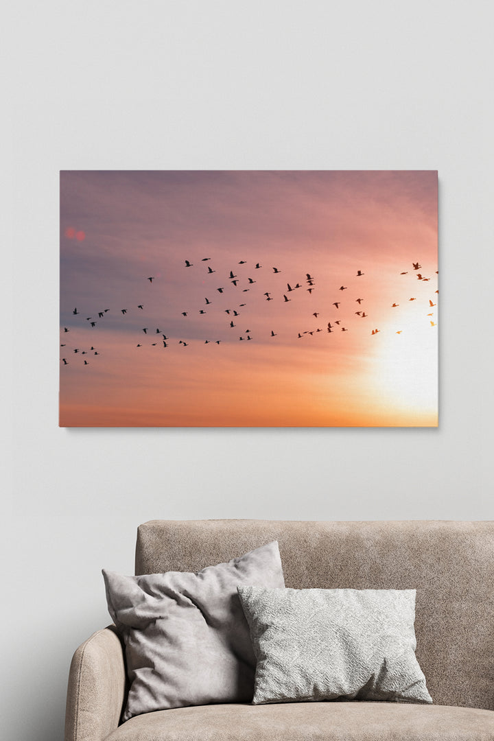 Sunset Birds