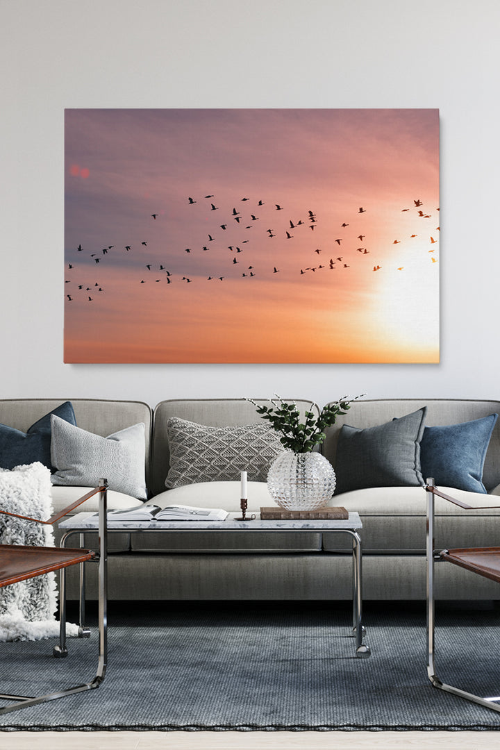 Sunset Birds