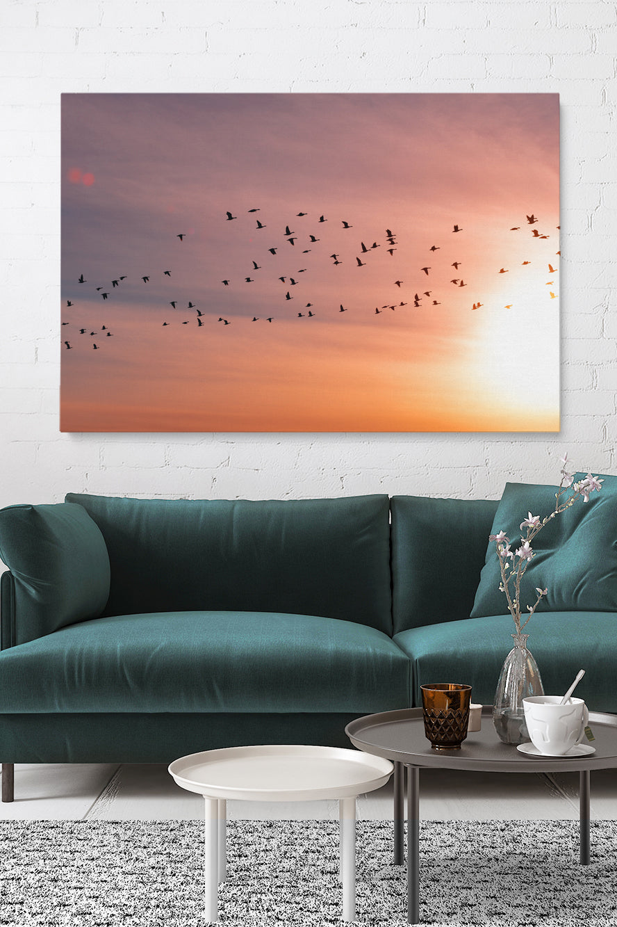 Sunset Birds