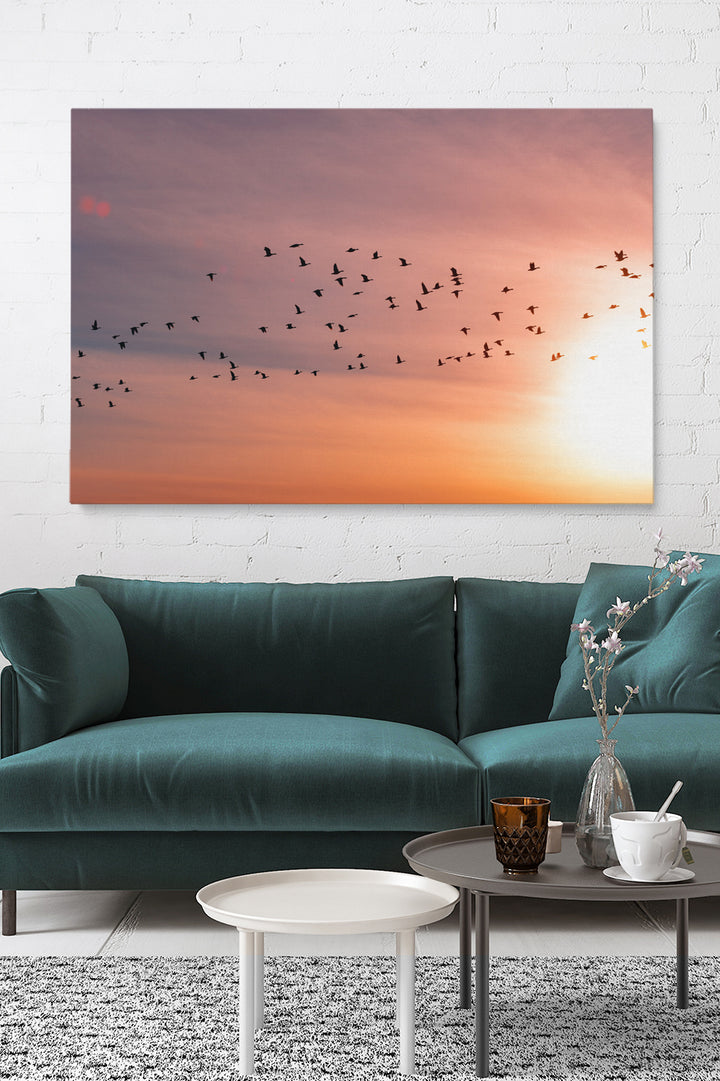 Sunset Birds