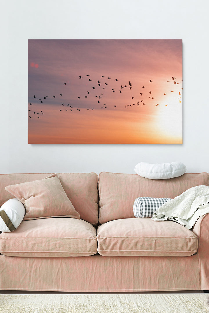 Sunset Birds