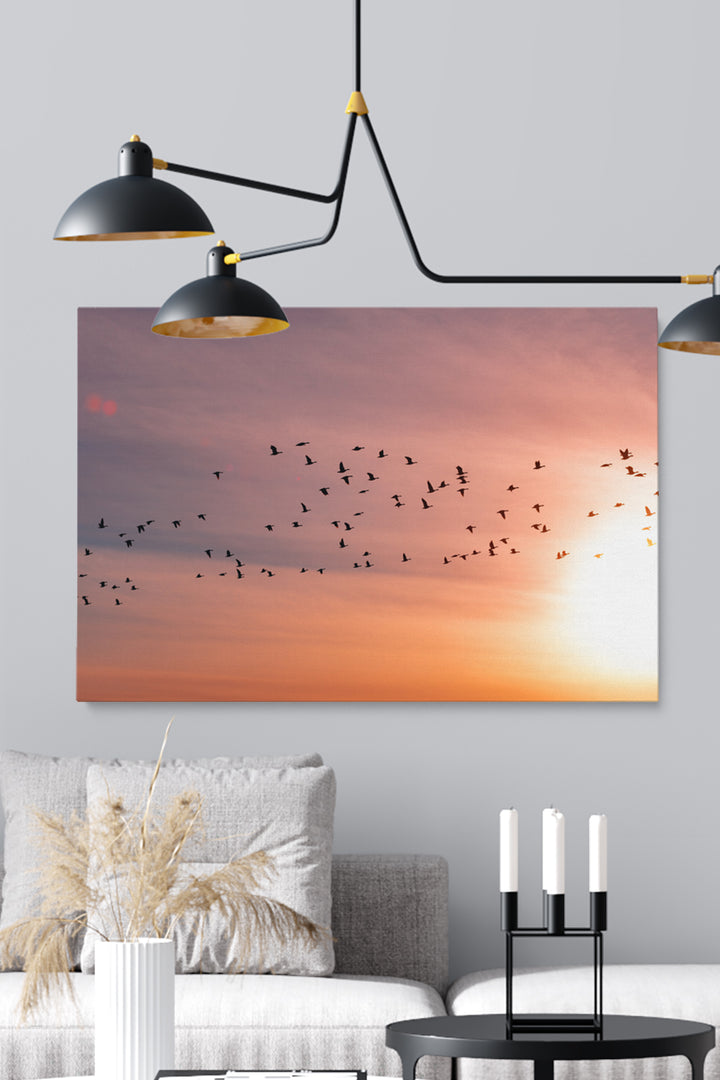 Sunset Birds