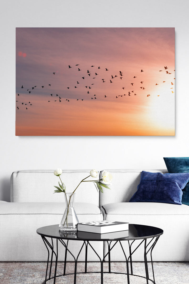 Sunset Birds