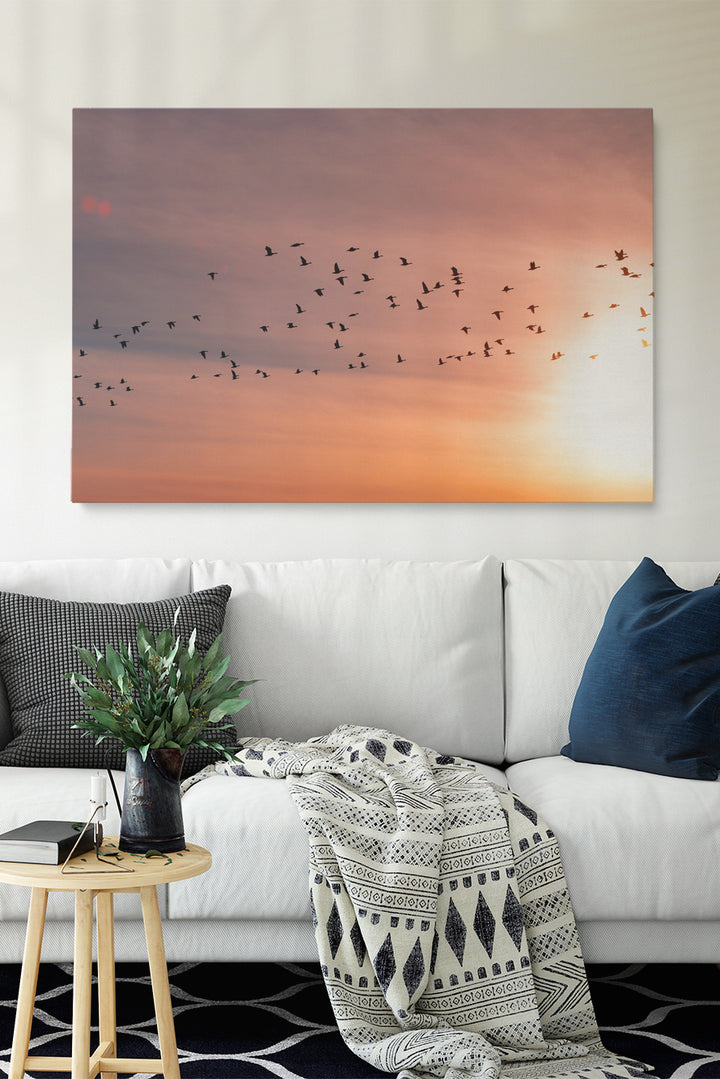 Sunset Birds
