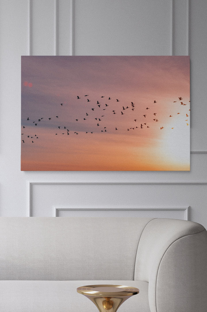 Sunset Birds