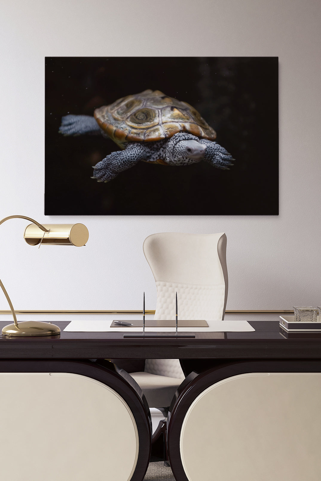 Swimming Turtle