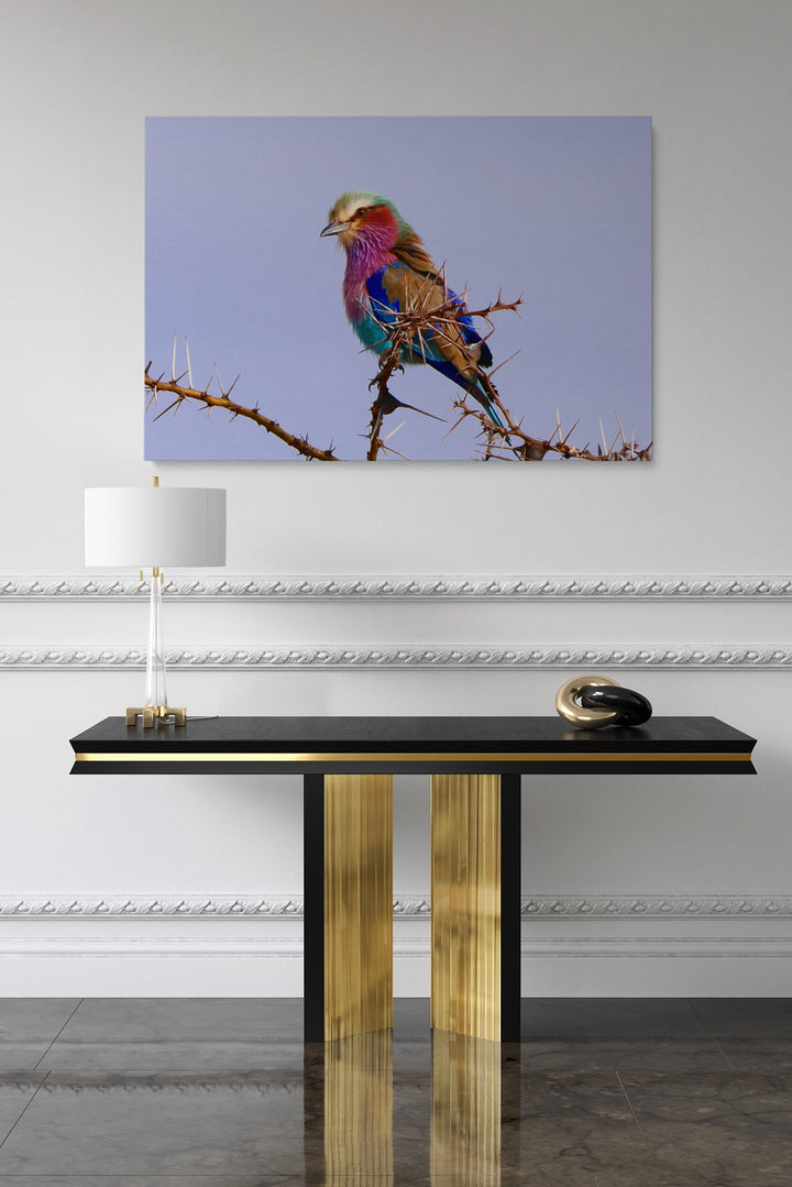 Tansania 7 Farbvogel