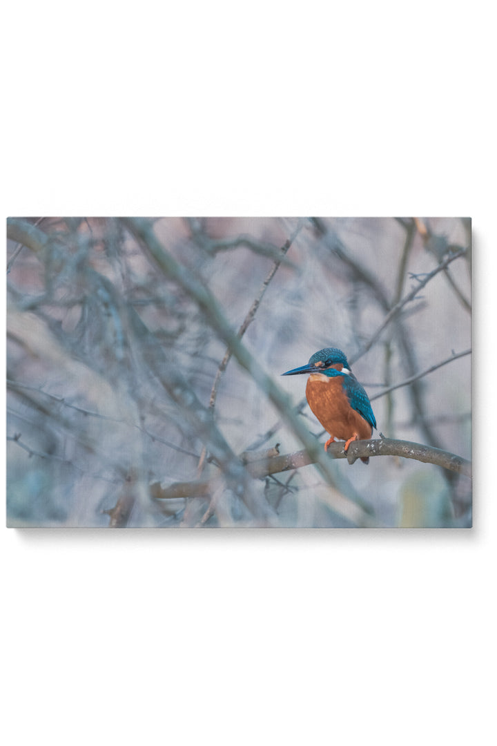 Vincent Birdie
