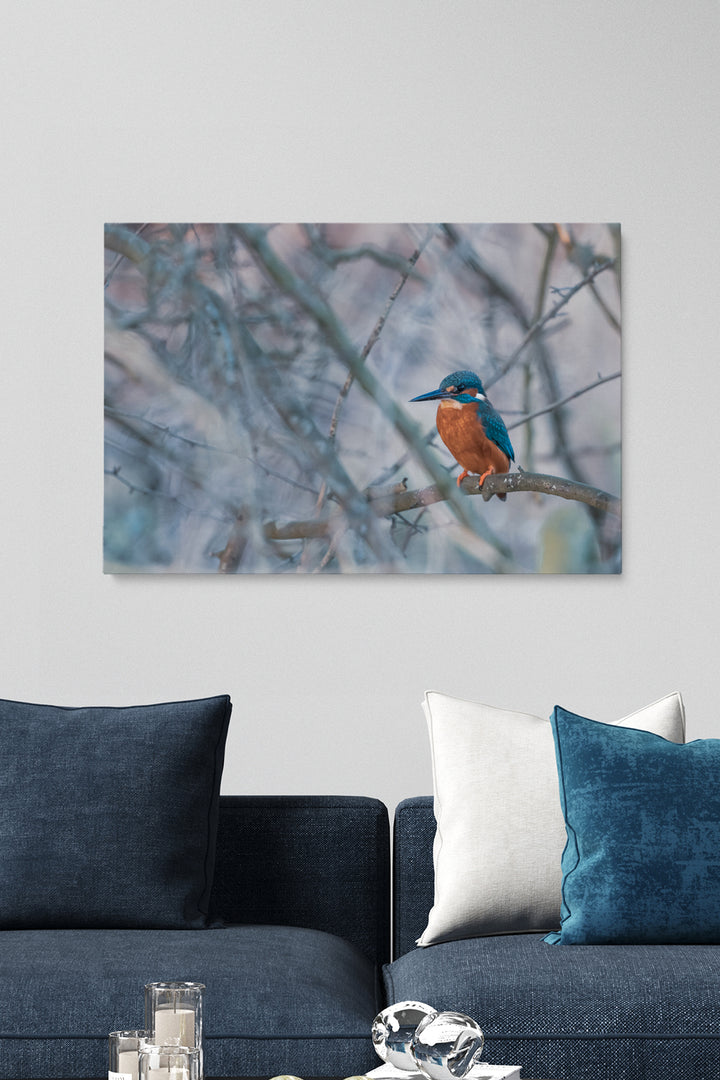 Vincent Birdie