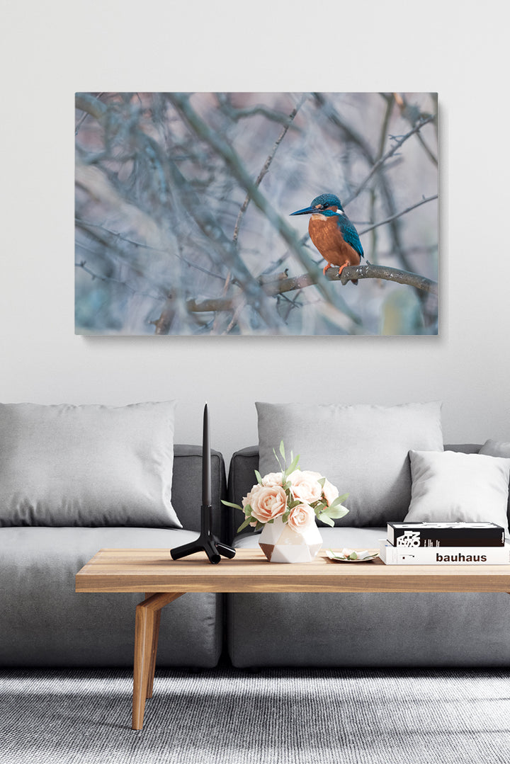 Vincent Birdie