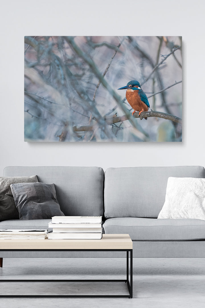 Vincent Birdie
