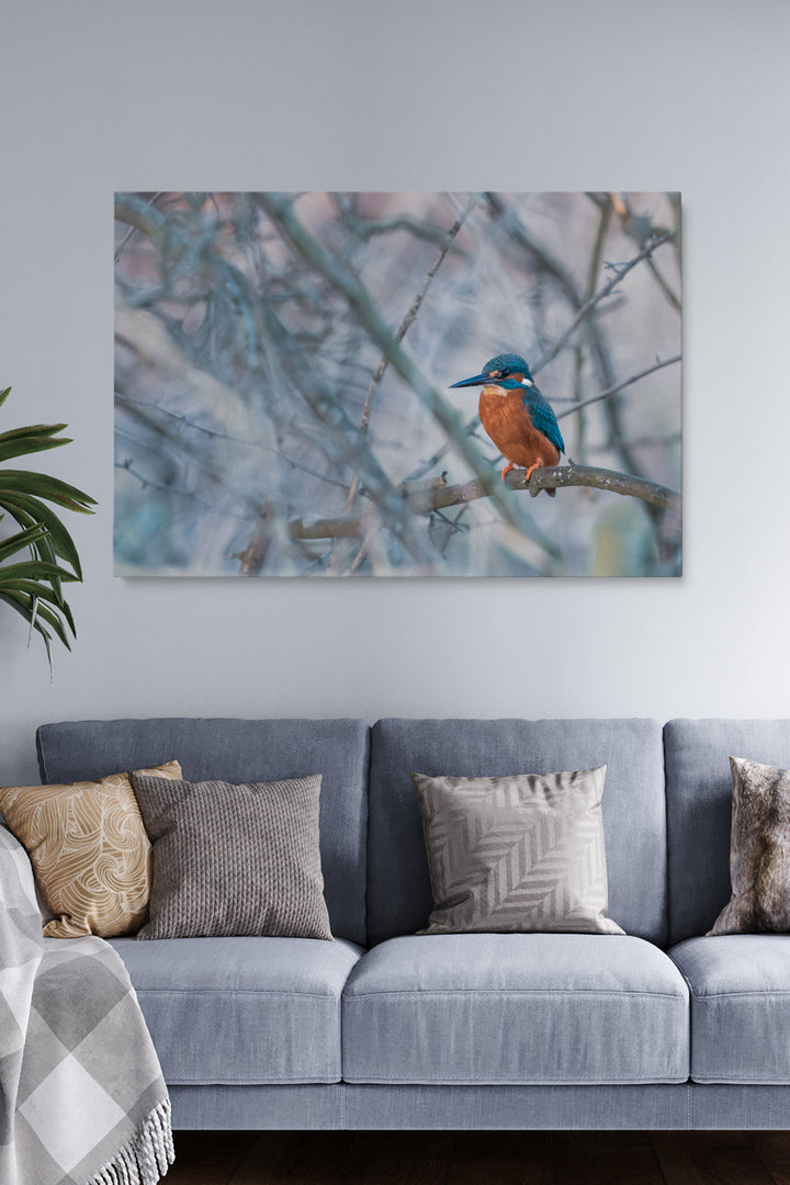 Vincent Birdie