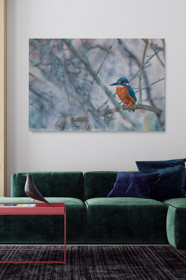 Vincent Birdie