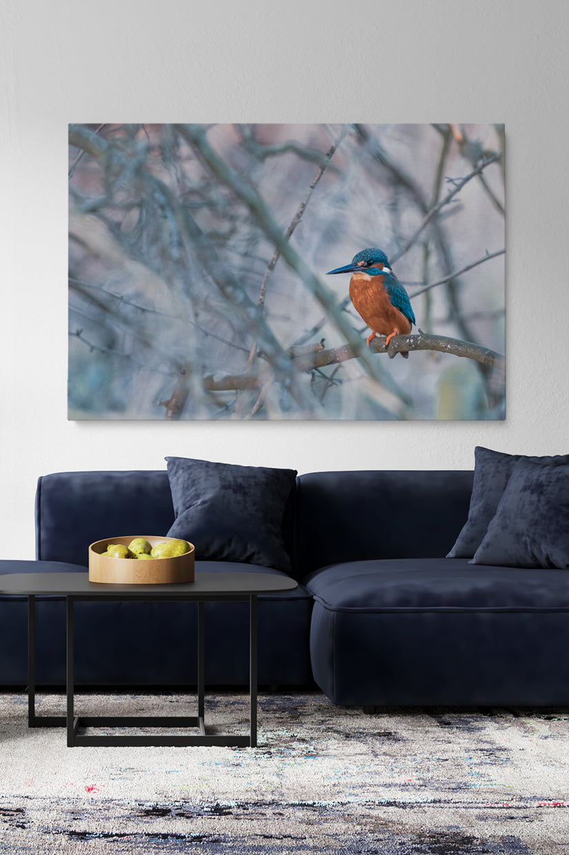 Vincent Birdie
