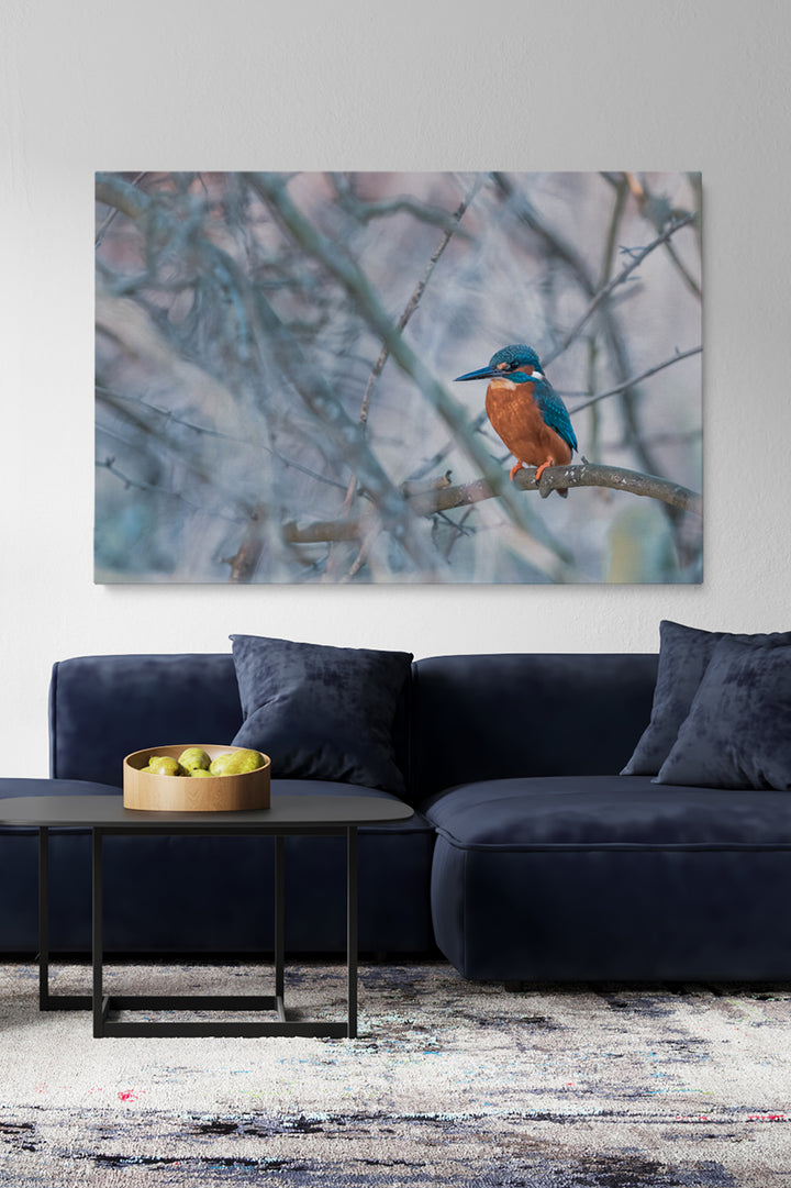 Vincent Birdie