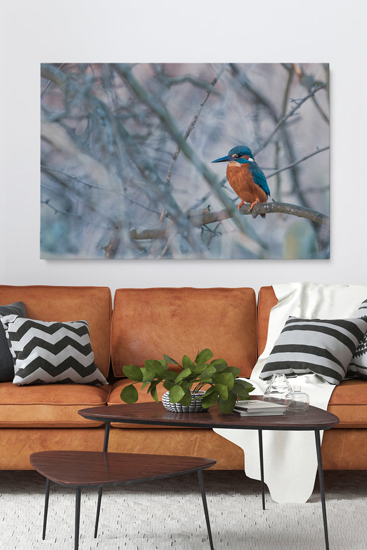 Vincent Birdie