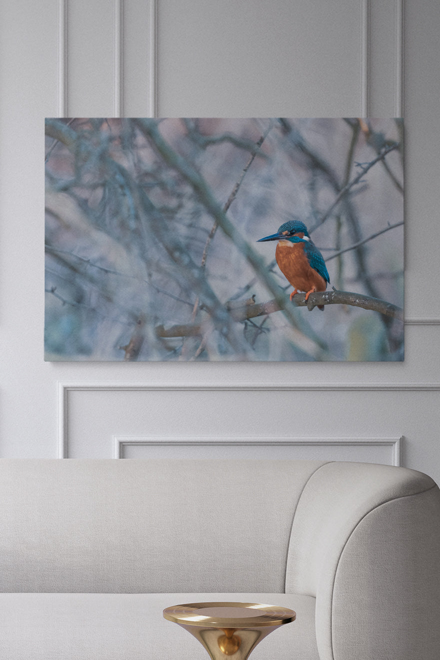 Vincent Birdie