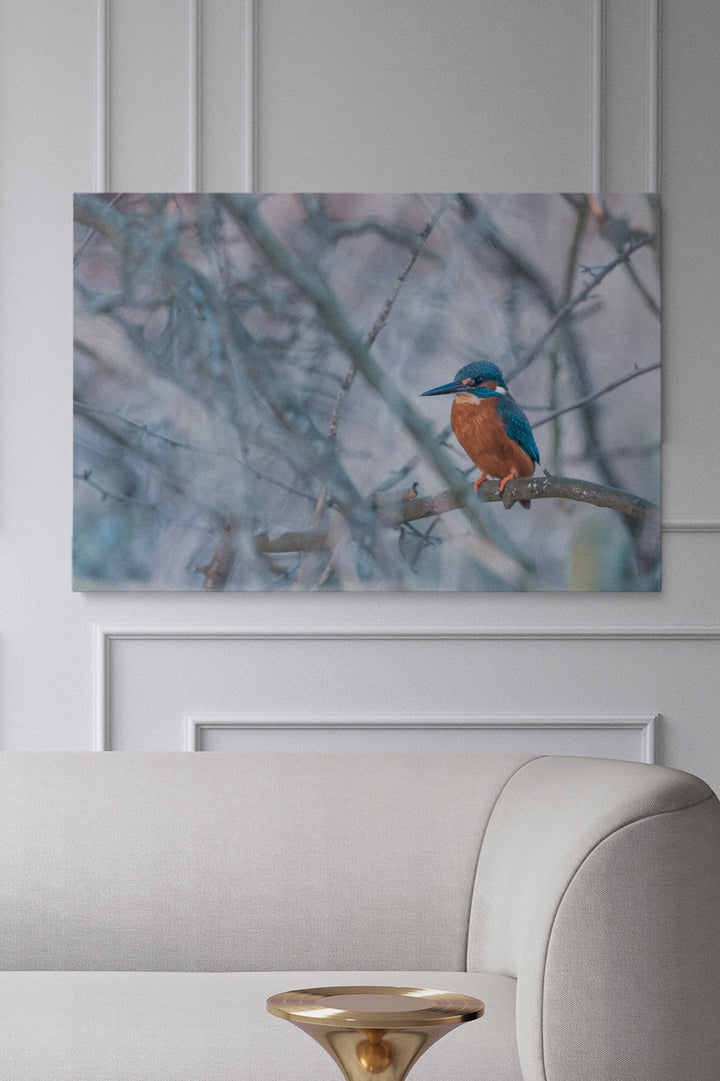 Vincent Birdie