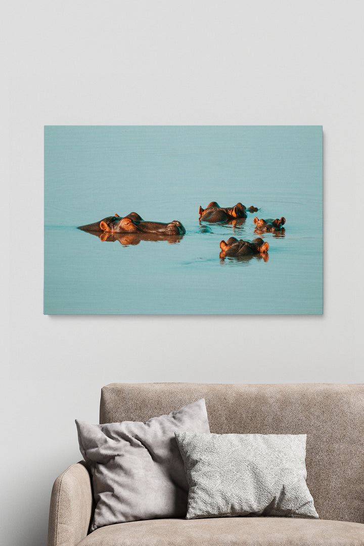 Water Hippos