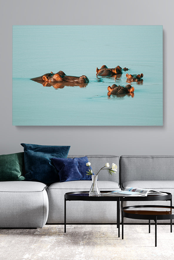 Water Hippos