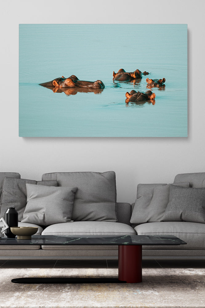 Water Hippos