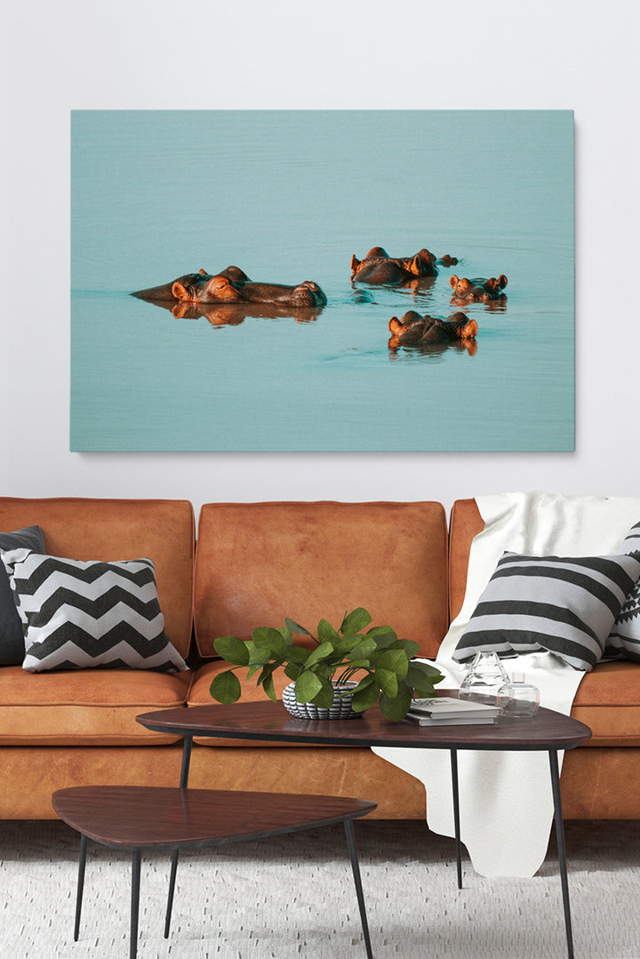 Water Hippos