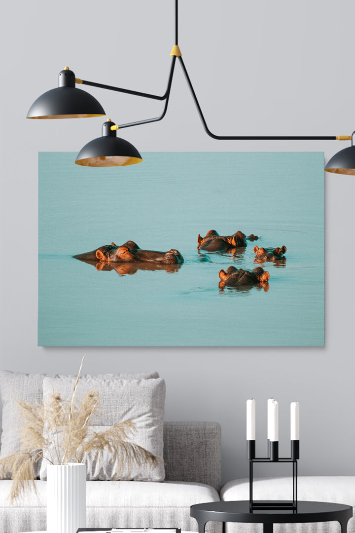Water Hippos