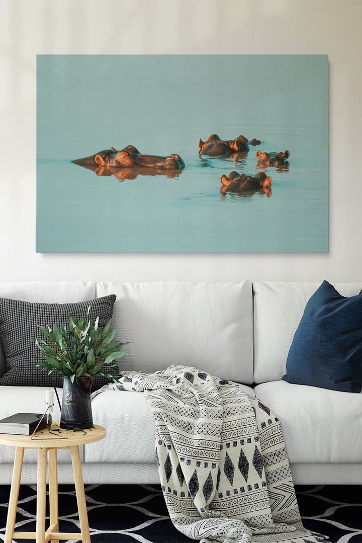 Water Hippos