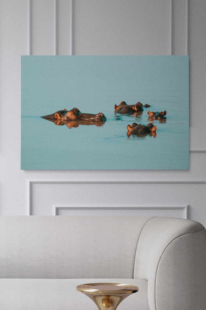 Water Hippos