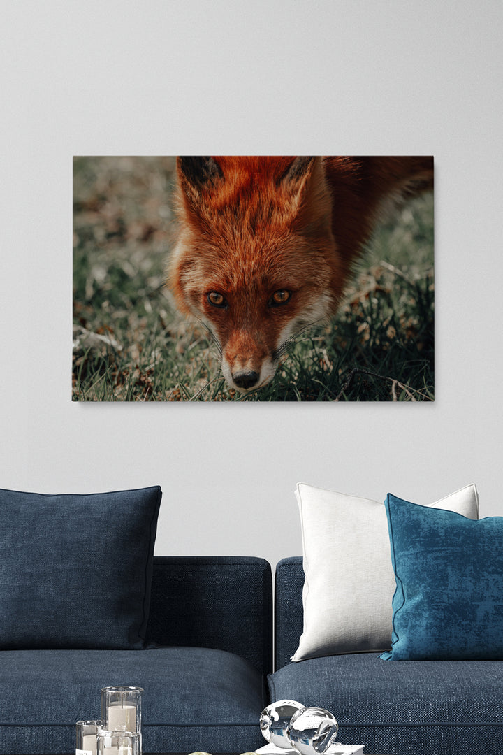 Was sagt der Fuchs