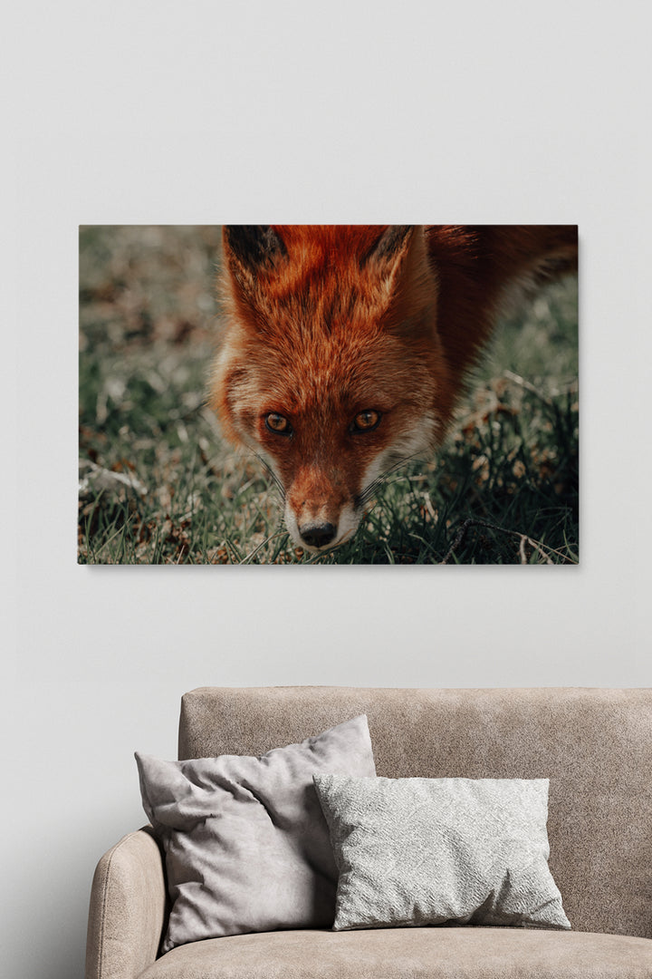 Was sagt der Fuchs