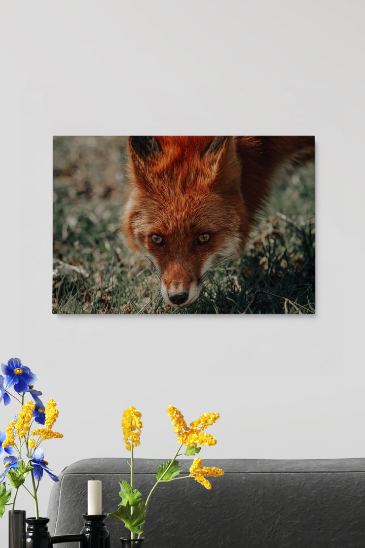 Was sagt der Fuchs