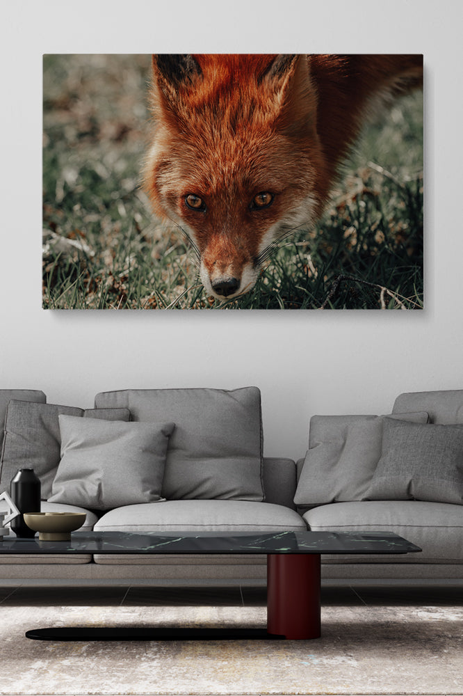 Was sagt der Fuchs
