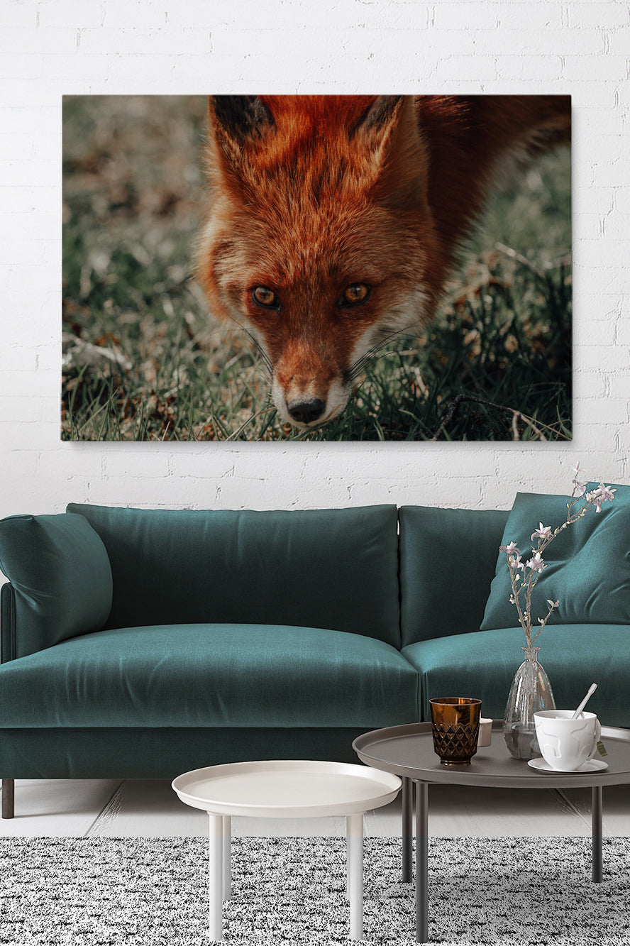 Was sagt der Fuchs