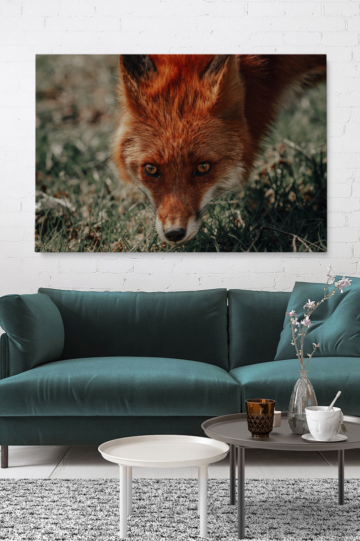 Was sagt der Fuchs