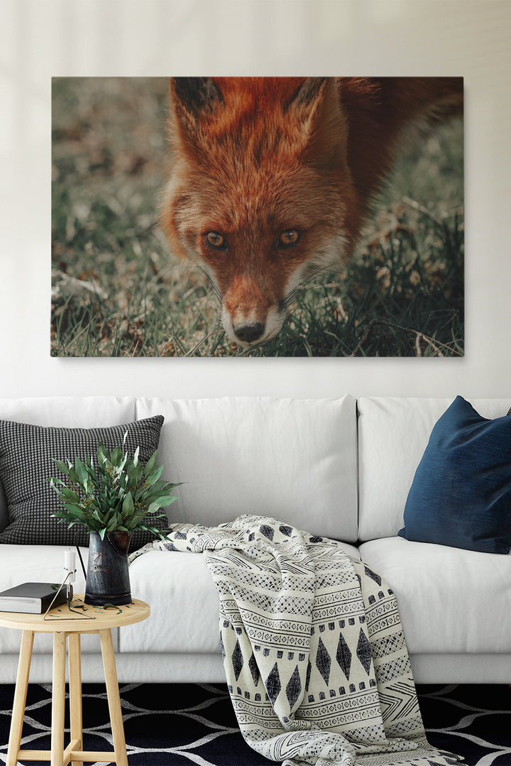 Was sagt der Fuchs