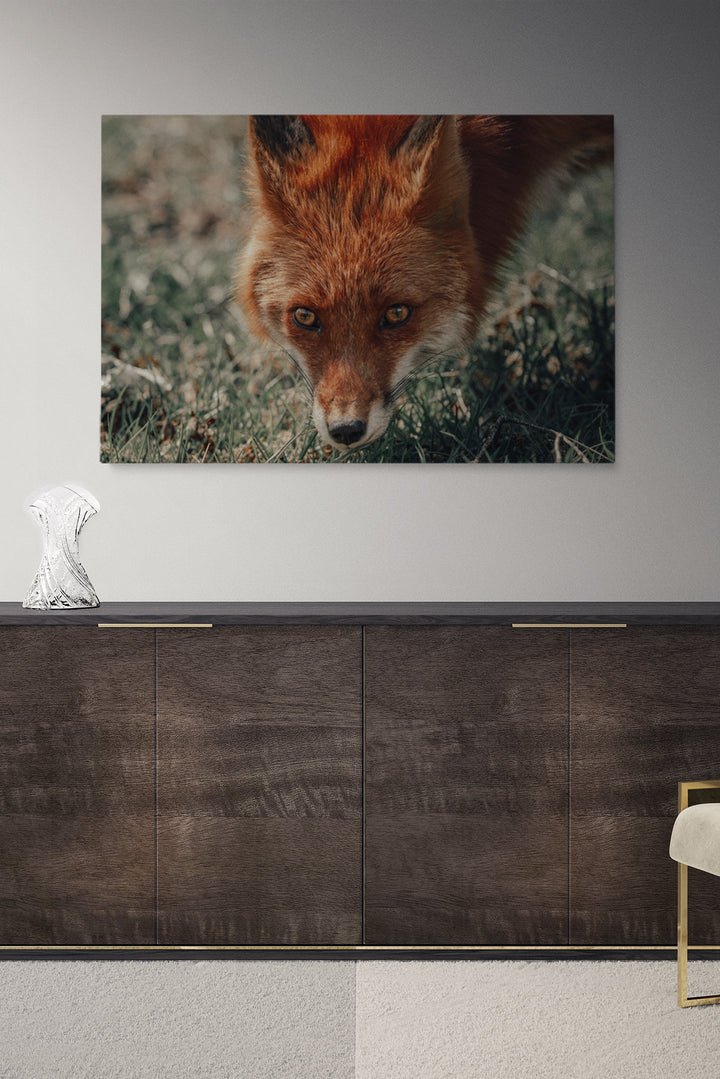 Was sagt der Fuchs
