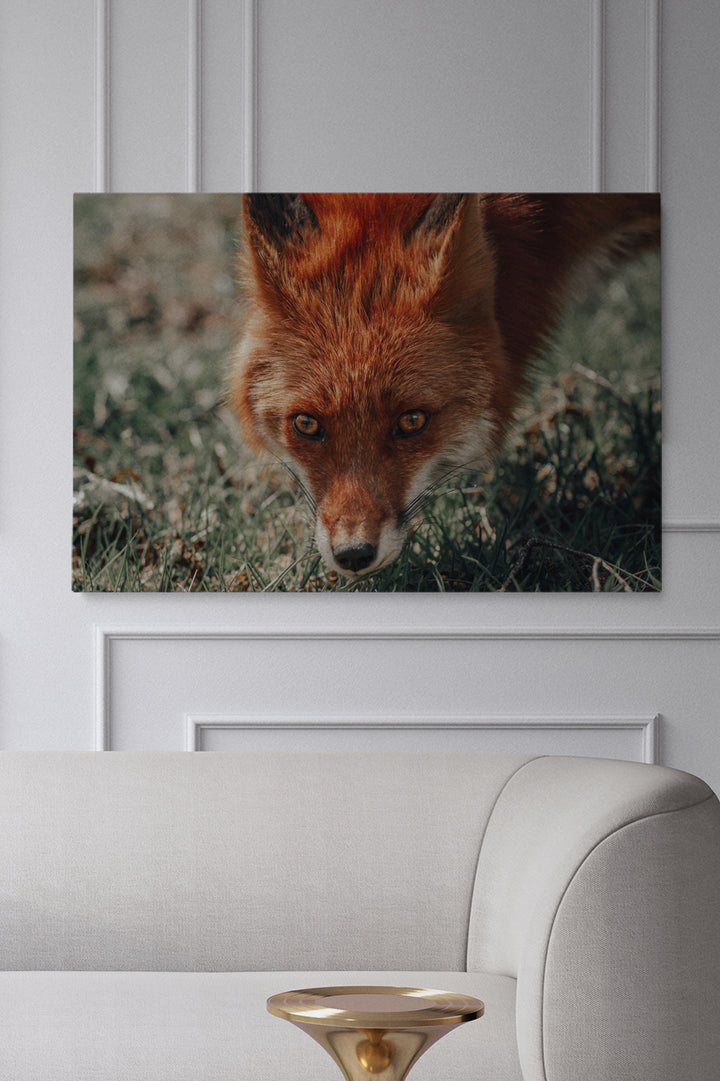 Was sagt der Fuchs
