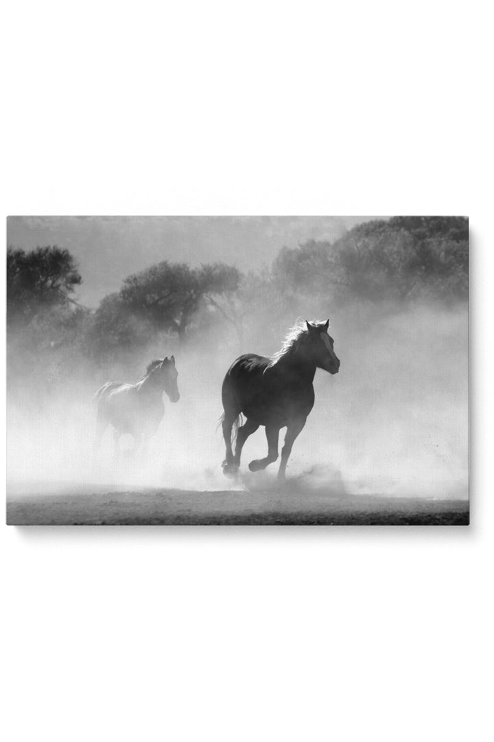 Wild Spirit