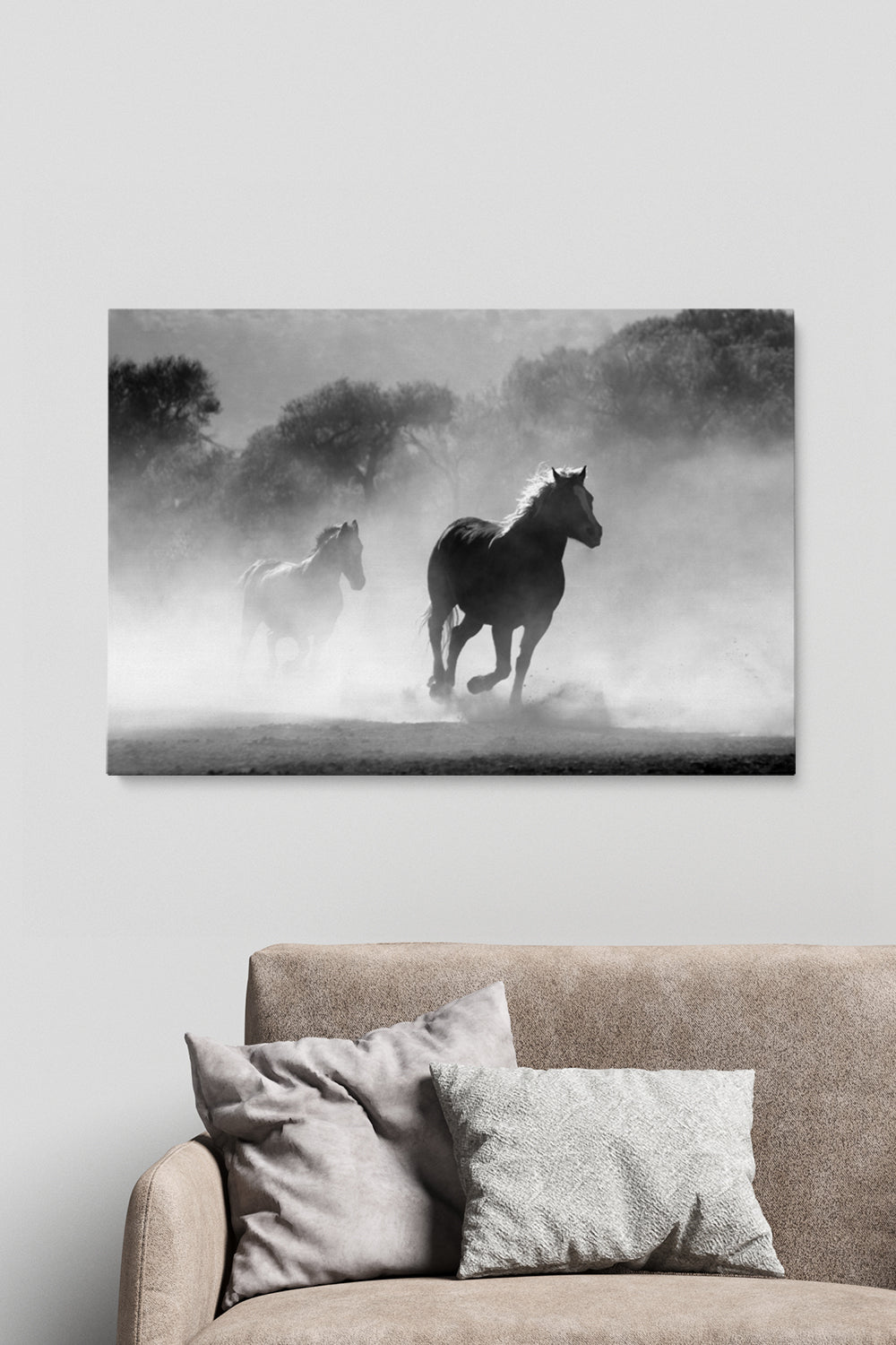 Wild Spirit