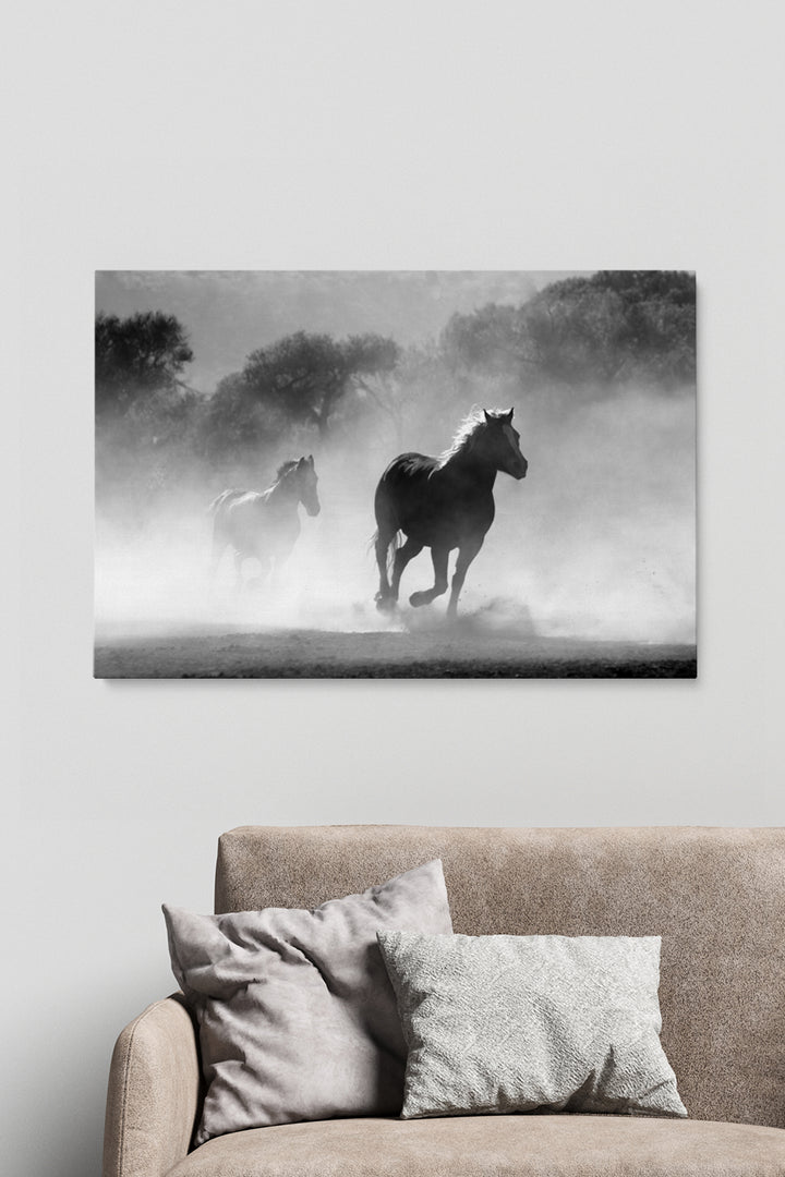 Wild Spirit