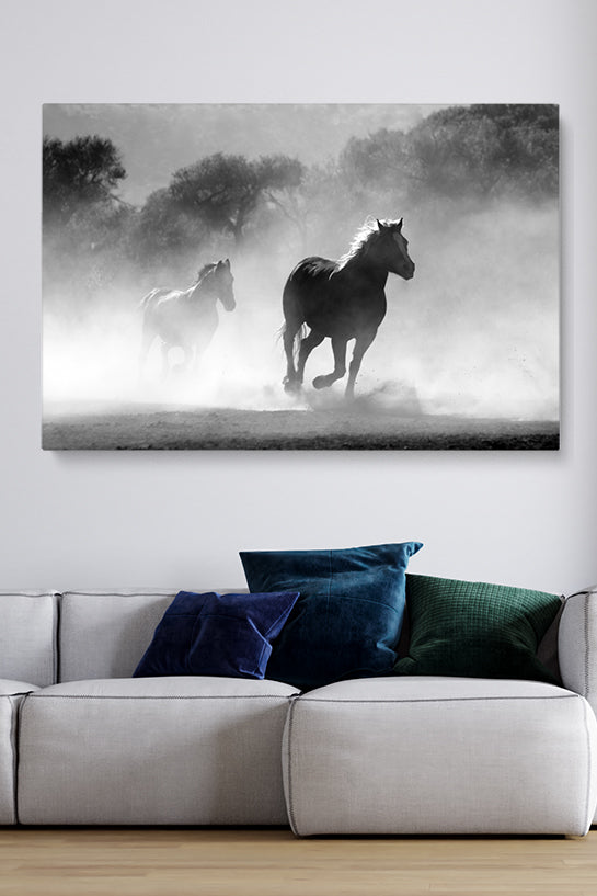 Wild Spirit