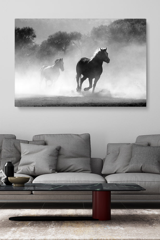 Wild Spirit