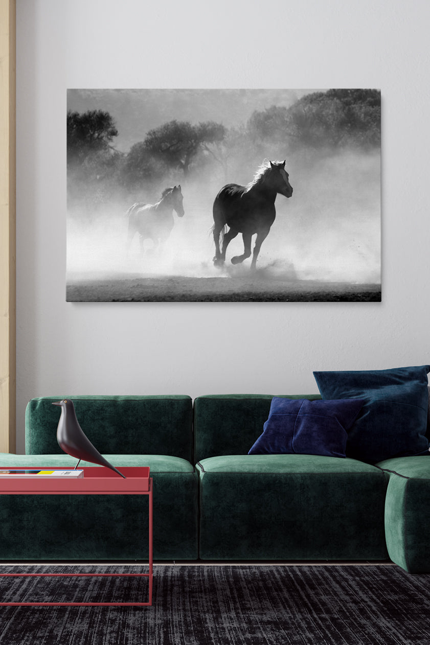 Wild Spirit