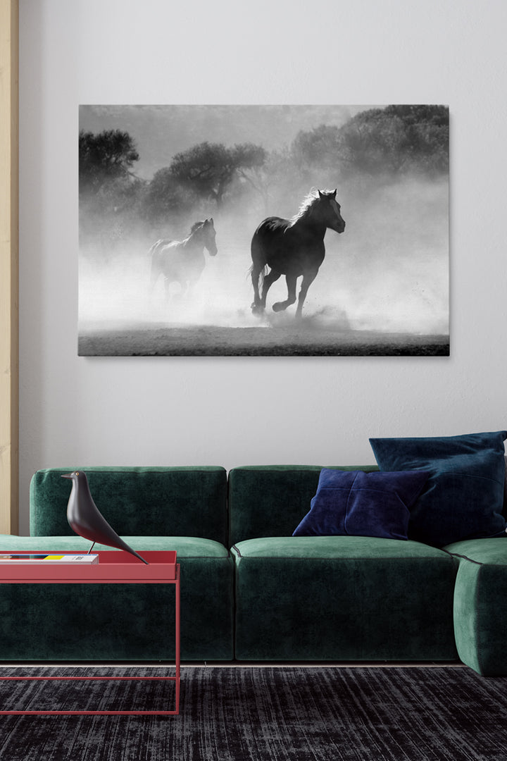 Wild Spirit